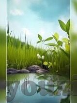 世界杯混合投注怎么-世界杯混合投注全解析