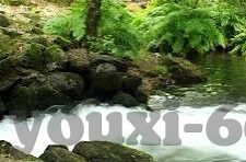 足球竞猜结果比分-足球竞猜风云，揭秘比分背后的策略与智慧